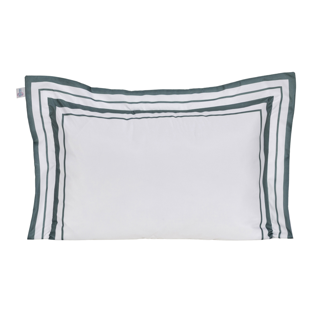 pidr-183992249 produto 174480996767ffafef93af9.png